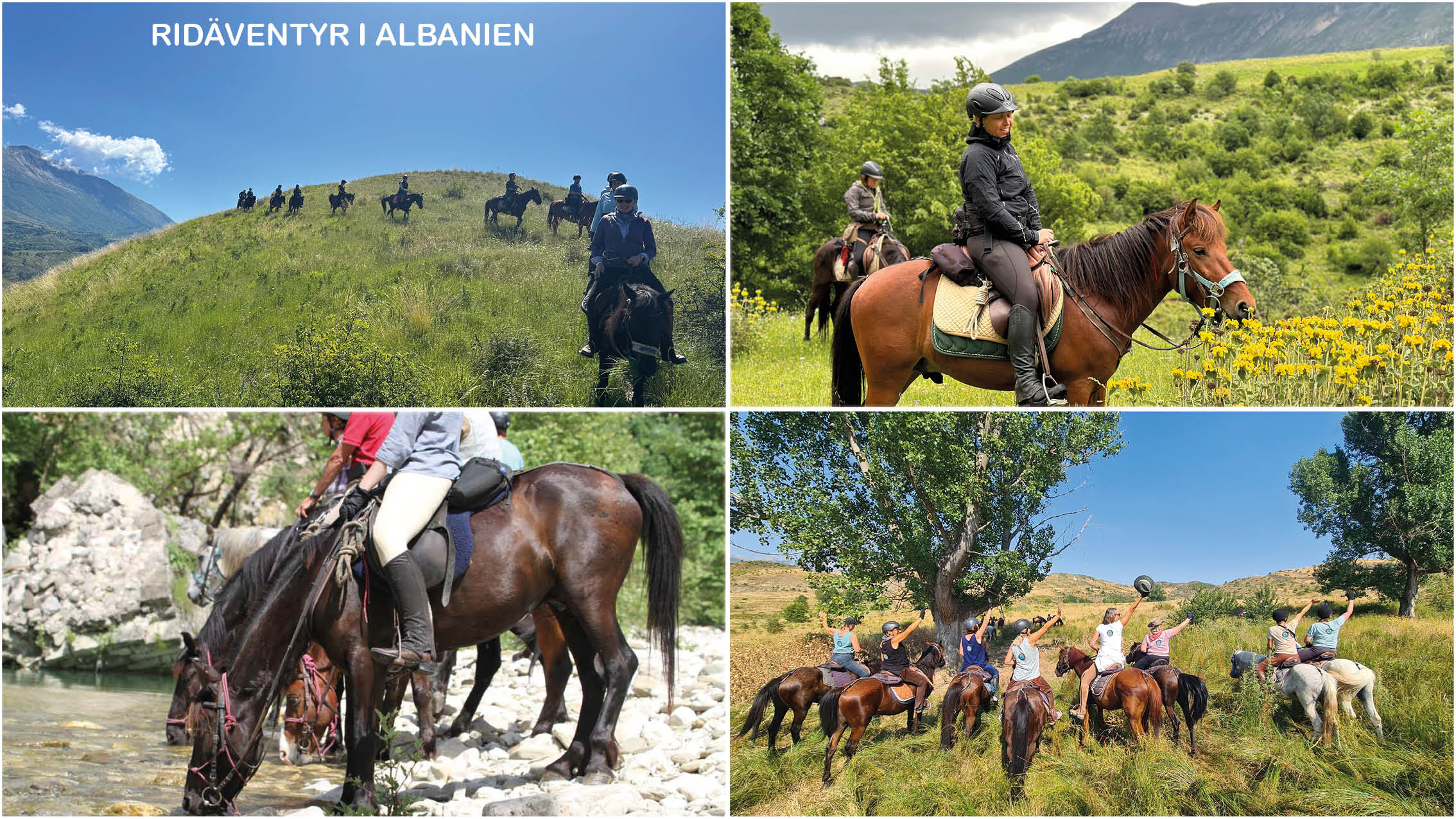 Ridäventyr i Albanien